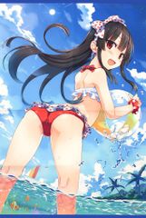 DOAXVV PRISM ソフマップ 限定 特典 B2タペストリー ななみ - メルカリ