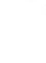 リボンドール まとめ売り 用品 出品