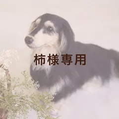 柿様専用