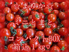 YAYO様専用クール便♡まゆか１箱♡星うらら２箱♡