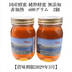 完熟 生蜂蜜　国産蜂蜜 純粋蜂蜜 無添加　非加熱　600グラム　2個　はちみつ　【賞味期限2029年3月】のサムネイル