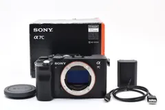 2026年最新】α7iii ジャンクの人気アイテム - メルカリ