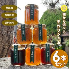 12個セット ラムテテ ワイルドフラワー ハニー 蜂蜜 はちみつ - メルカリ