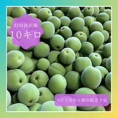 2026年最新】梅干し 10kgの人気アイテム - メルカリ