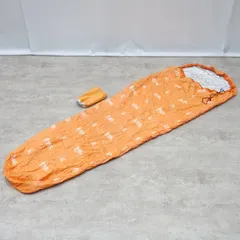 美品 エスオーエル SOL ESCAPE Bivvy エスケープビビィ UL 寝のサムネイル