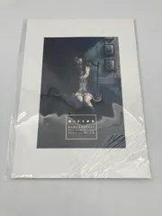 Innocent Grey Art Exhibition 白夜 公式図録 Innocent Grey Art Exhibition 白夜 フライヤー イノセントグレイ