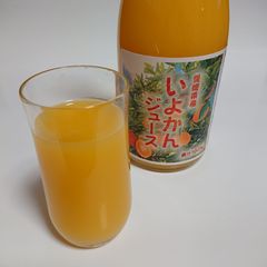 愛媛県産いよかんジュース 720ml 12本セット 愛媛県産いよかんジュース 720ml 4本セット - メルカリ