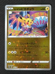 カナザワのピカチュウ スペシャルボックス