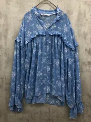 ZARA ザラ フリル 花柄 シアー ブラウス シャツ sizeL/水色 ■◇ レディース