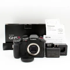 2026年最新】lumix gh5m2の人気アイテム - メルカリ