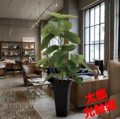 光触媒 人工観葉植物 ウォールグリーン フェイクグリーン ファーン 