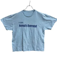 メンズTシャツ　水色　Lサイズ　クルーネック　シンプル　文字プリント【4357】