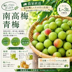 無農薬◇ばあばが大切に育てた南高青梅 5キロ◇四万十産◇ - メルカリ