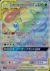 074/064/SM11A/B/HR フシギバナ&ツタージャGXのサムネイル