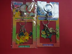 劇場版　ポケットモンスター キミにきめた メタルキーチェーン 2点セットのサムネイル