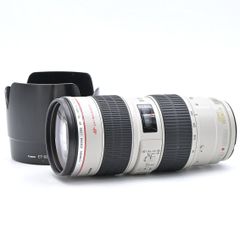 Leica ライカ E67 UVa フィルター Filter 13386 アクセサリ【中古
