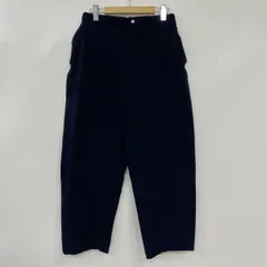 THE NORTH FACE ノースフェイス PURPLE LABEL パープルレーベル ストレッチツイルワイドテーパードパンツ NT5359N サイズ:30 ※中古