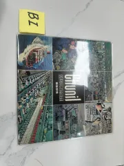 スーパーレア チョニル寺院 専用 デモ アルバム 高品質 プロモーション LP 明礬売ります