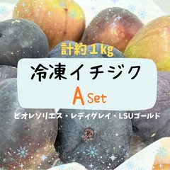 蝶々華様専用！A・食べ比べ！冷凍イチジク　採れたて丸ごと冷凍　約1㎏