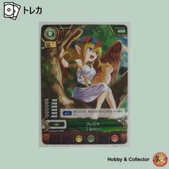 플레이어 B02 077 퍼즐 & 드래곤즈 TCG (#14981)