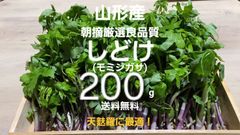 ラスト写真2本おまとめ❗山形屋　産直フルーツと天然山菜直販様　新品未使用 山形総本家 産直フルーツと天然山菜の直販 - メルカリShops