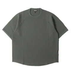 【新品】GOLDWIN ゴールドウイン Tシャツ ダークリーフ サイズ:S | 24SS ワッフルライト Tシャツ (WF Light T-shirt) | トップス カットソー 半袖【メンズ】