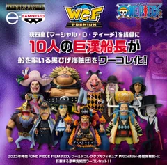 ワンピース ワールドコレクタブルフィギュア PREMIUM 黒ひげ海賊団