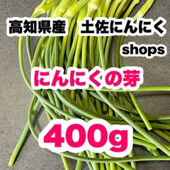 高知県産 土佐にんにく ニンニクの芽 農家直送！ 野菜 Mkb - メルカリ
