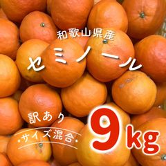 訳あり和歌山県産レモン 30kg サイズ混合 送料無料 - メルカリ