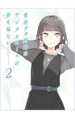 初版 未開封2boxシュリンク付き 青春ブタ野郎はサンタクロースの夢を見