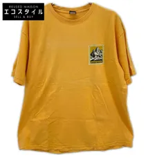 patagonia パタゴニア 90s マウンテンプリント Tシャツ L