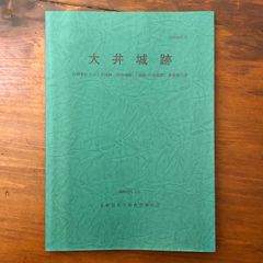 復習大綱【国際中医師試験標準問題集】 - メルカリ