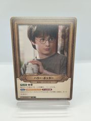 予約販売】SR セブルス・スネイプ ハリポタTCG Foil キラ / ハリー