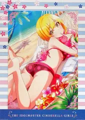 【中古】原画イラストボード ≪PC・スマホゲーム書籍≫ 一番くじ アイドルマスターシンデレラガールズ-Cinderella s Summer!- C賞ビジュアライズボード 宮本フレデリカ