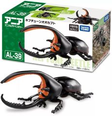 大型ネプチューンオオカブト標本 - メルカリ