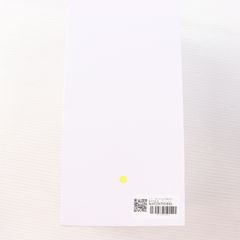 타이토 온라인 크레인 한정 렘 Re:제로부터 시작하는 이세계 생활 프레셔스 피규어 렘~룸웨어 ver.~ Renewal 타이토