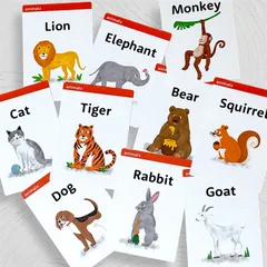 【新品】ANIMAL英語カード　30枚　箱付き　えいご　おうち英語　ギフト　英単語　知育　出産祝い　フラッシュカードのサムネイル