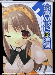 涼宮ハルヒの憂鬱 涼宮ハルヒの消失 特大タペストリー - メルカリ
