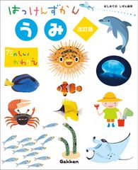 海 窓明し掛け 改訂版/Ｇａｋｋｅｎ/西片拓史（単行本）