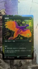 2026年最新】極楽鳥 mtgの人気アイテム - メルカリ
