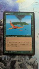 黒枠 極楽鳥 Birds of Paradise 4EDBB 日本語 初版 希少 - メルカリ