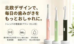 【3色展開】音波電動歯ブラシ 最大30,000回振動 IPX5防水 軽量設計 単4電池式 やわらか極細毛 大人用のサムネイル