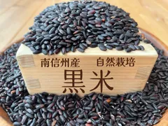 南信州産　黒米(もち種200g)  自然栽培のサムネイル