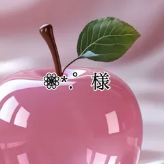 ❁⃘*.゜ 様専用　2セット