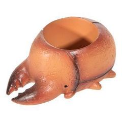となりのトトロ 素焼き壁掛け植木鉢 テラコッタ - メルカリ