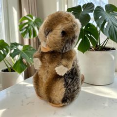 ウェンディボストン英国リス ぬいぐるみ - メルカリ