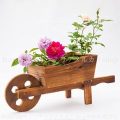 人気の1点物 貴重 天然素材の一輪車 りんごの木 杉材 ハンドメイド 