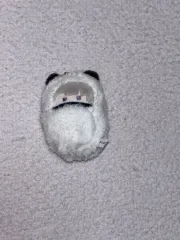 呪術廻戦 狗巻棘 くるみたぴぬい