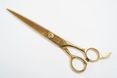 Dランク【ナルトシザー naruto scissors】 デザインカットS セニング