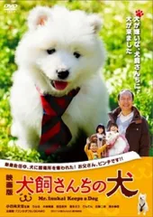 2026年最新】ちい散歩傑作選 DVDの人気アイテム - メルカリ